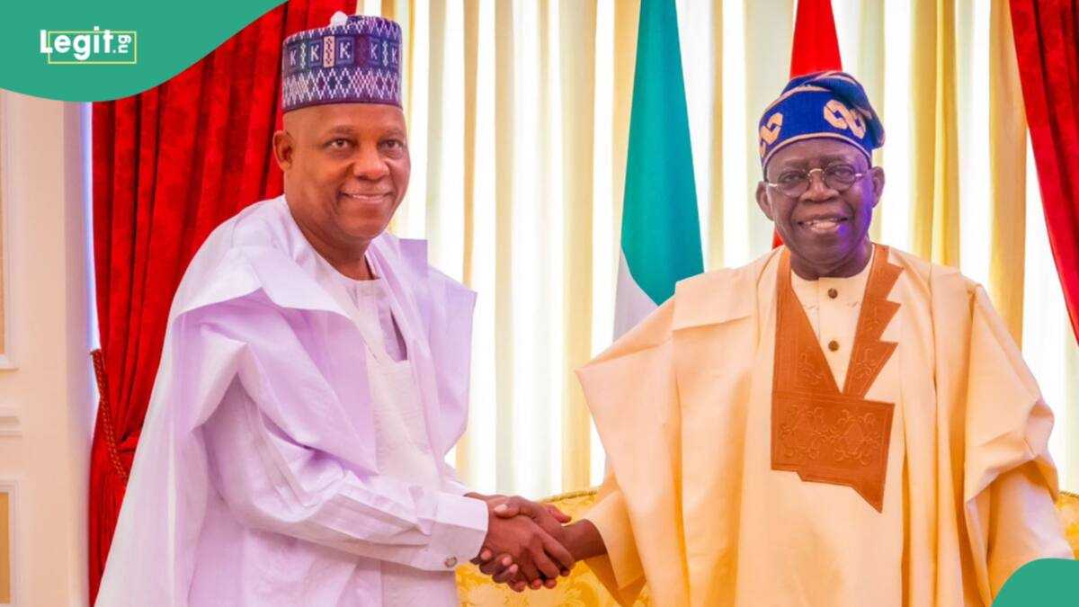 Presidency Breaks Silence on Alleged Rift Between Tinubu, Shettima