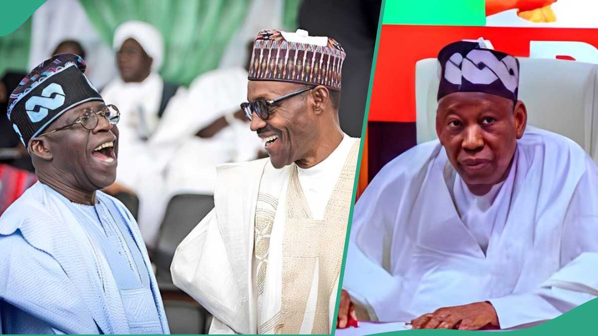 Tinubu, Buhari, Osinbajo, May Decide Ganduje’s Fate as APC Chairman, Details Emerge