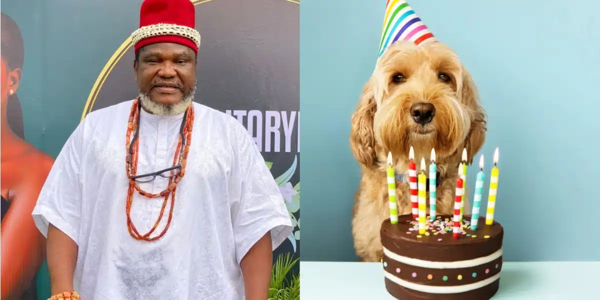 Ugezu Ugezu shares how woman gets upset over his absence at her dog’s birthday