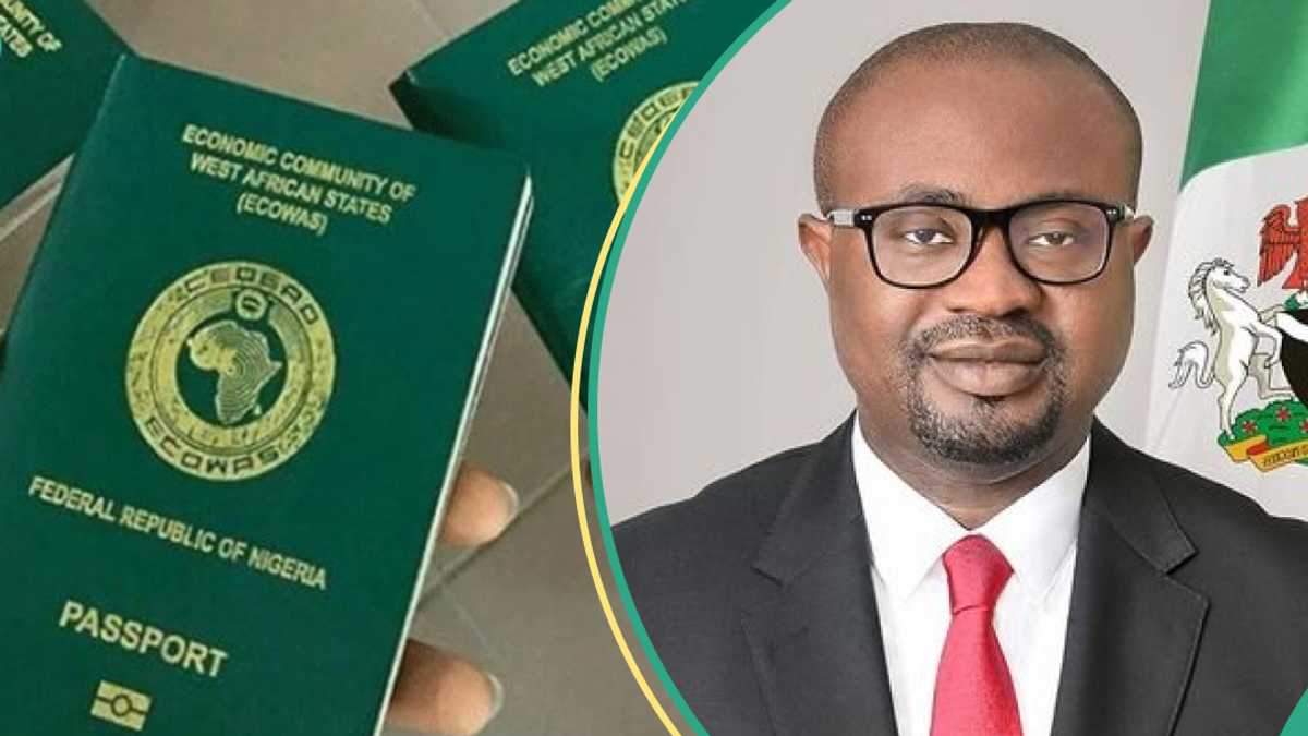 Why We Can’t Subsidise Passport Fees, Tinubu’s Minister Explains