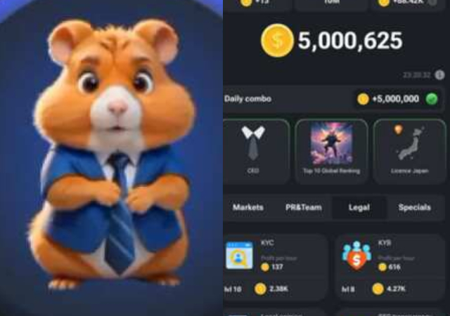 “People Never Learn, You Want to Become Millionaire by Tapping Your Phone” – Tutor Mocks Hamster Kombat’s CEOs