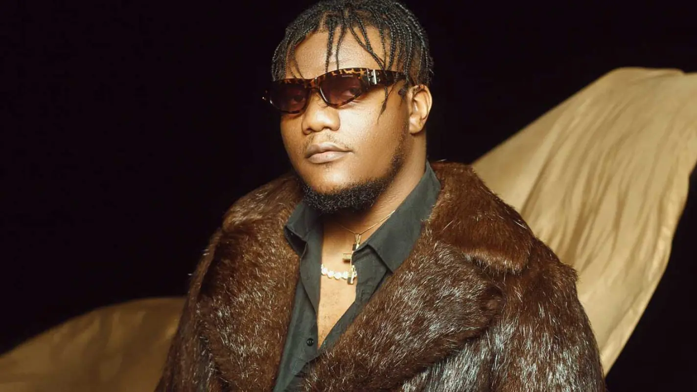 ‘Music not a get-rich-quick scheme’ – Pheelz