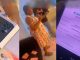 "Some men are so international about their wives" – Man gifts his wife an iPhone 14 Pro Max, ₦1M as push gift (WATCH)