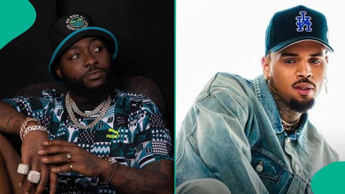 Chris Brown’s Sold-Out Shows: Brazilians Beg Davido As He Reacts to US Star’s Feat