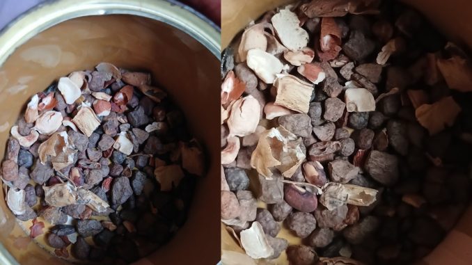 "50% beans 50% stones" – Lady l@ments over the number of stones she found in the beans she picked (IMAGES)