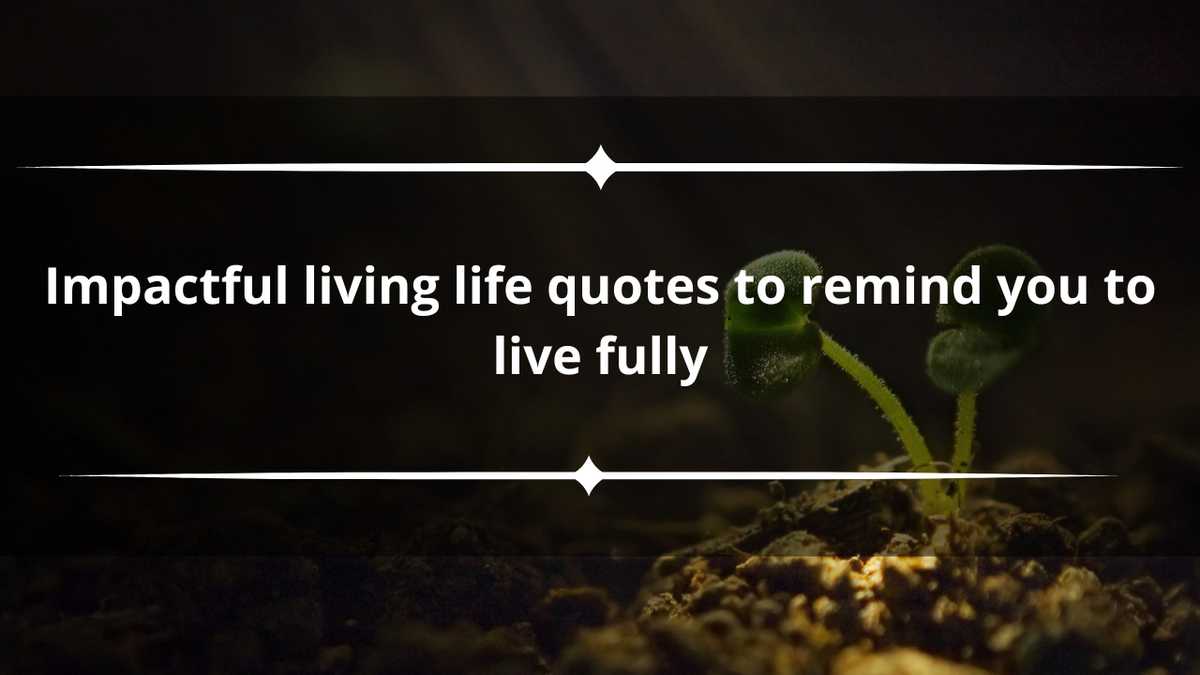 150 impactful living life quotes to remind you to live fully