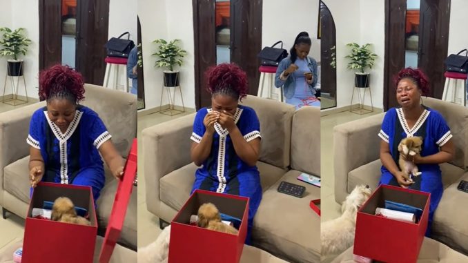 "I got the cutest gift on my birthday" – Lady got surprised with a new puppy after l0sing her dog in May (VIDEO)