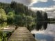 'Fairytale' forest in Scotland with rare animals & 'man-made wonders' named best in UK