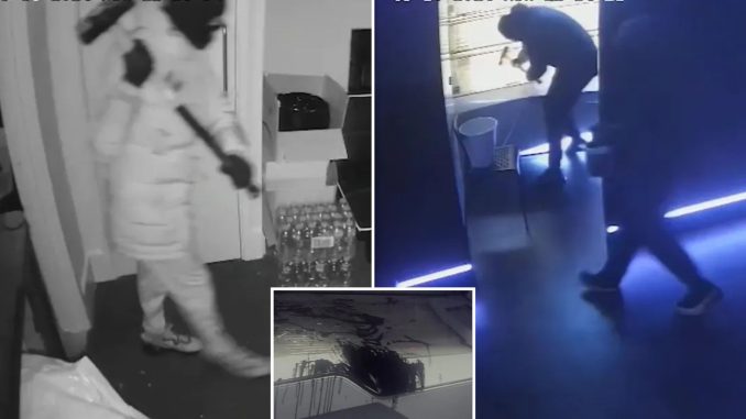 Shock moment balaclava-clad sledgehammer gang smash up TANNING BEDS in late-night shop raid