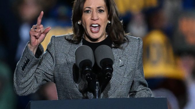 Awkward moment Kamala Harris crowd falls silent when VP makes bizarre request - as Trump insists he's not a Nazi