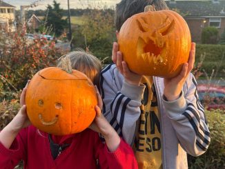 I tried 3 hacks to make my Halloween pumpkin last longer – the ‘shade’ tip was rubbish but a 10p trick worked a treat