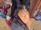 "No man will marry a woman with long nails" – Nigerian father r@ges as daughter gets long acrylic nails (WATCH)