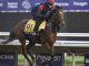 Aidan O'Brien pleased with City Of Troy draw as he prepares for date with destiny in Breeders' Cup Classic