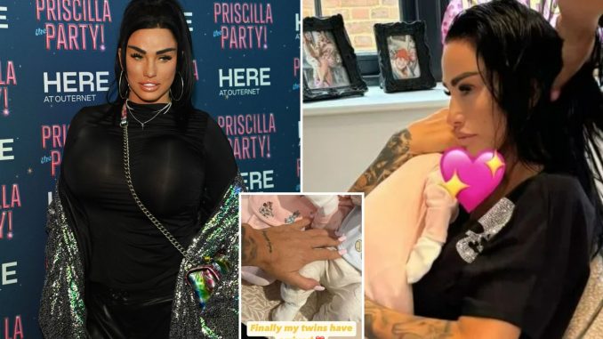 Katie Price bizarrely claims she 'hasn't named new twins' after they're revealed as DOLLS in baby mystery