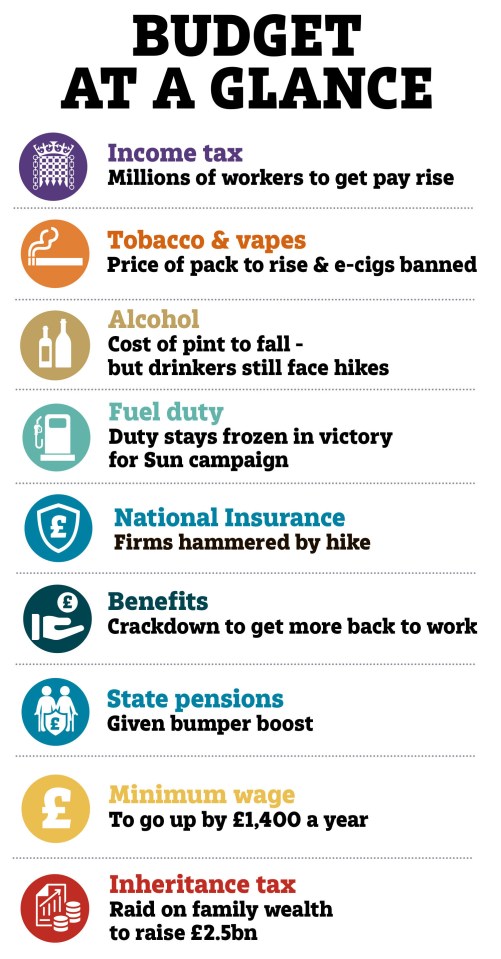 The Government's Budget at a glance