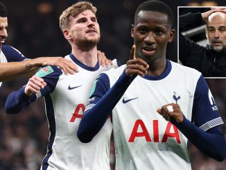 Tottenham 2 Man City 1: Spurs miss chances but cling on to reach Cup quarters as they target first trophy in 17 years