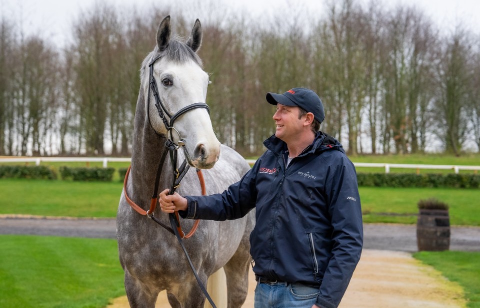 The Hawkstonian looks an imposing unit and trainer Ben Pauling will be hoping for a big run on debut