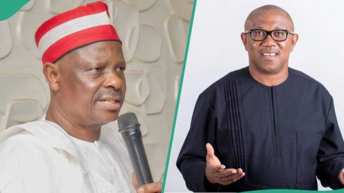 2027: Labour Party Reacts as Kwankwaso 'Offers to Be Obi’s Running Mate', Details Surface