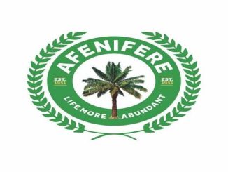 Afenifere Condemns NILGEC Bill For LGAs Elections