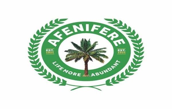 Afenifere Condemns NILGEC Bill For LGAs Elections