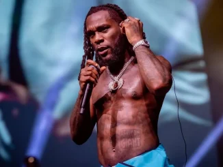 Burna Boy leads Nigerian music stars on The Billboard Hot 100 Chart