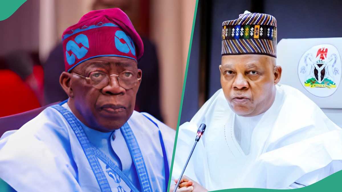 CHOGM 2024: Shettima to Represent Tinubu in Samoa, Presidency Releases Fresh Details