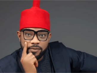 Damagum’s Has Been Frolicking With APC To Destroy PDP – Ugochinyere