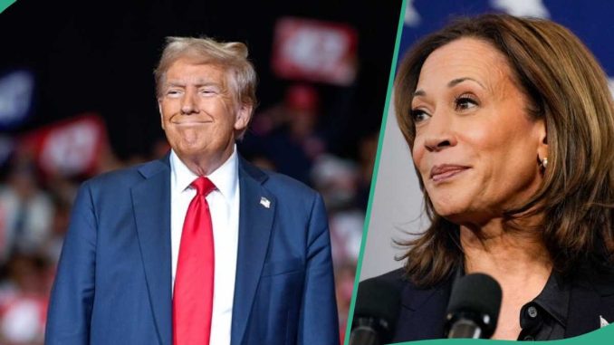 Donald Trump vs Harris: New Poll Discloses Who is Leading as Early Voting Records Smashed in US