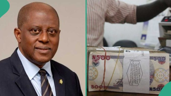 Economist Reveals Real Naira Rate as Currency Emerges Among Top Worst-Performing