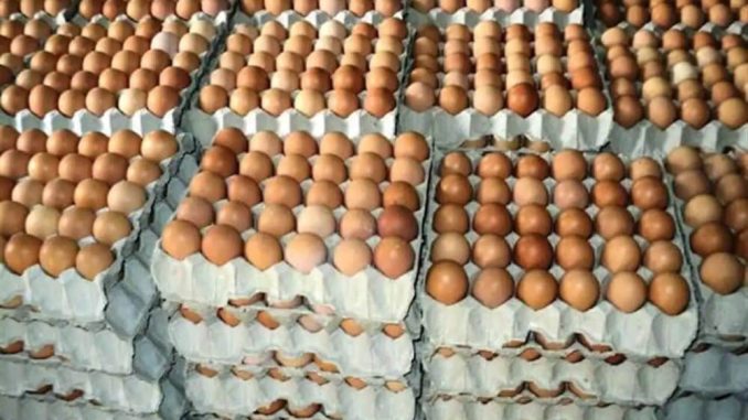 Eggs May Be Sold For ₦10,000 Per Crate