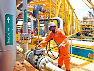 Oil Price: Nigeria, Others May Incur More Debts Next Year – OPEC