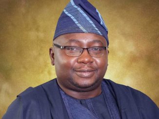 FG determined to boost nation’s electricity supply - Adelabu