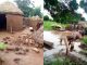 Flood destroys homes, displaces over 80 households in Plateau communities