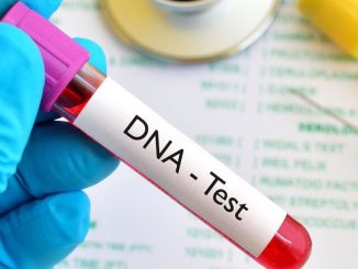 Negative Paternity Tests High: Yoruba Leads, Igbo, Hausa Follow In Test Trends - DNA Report