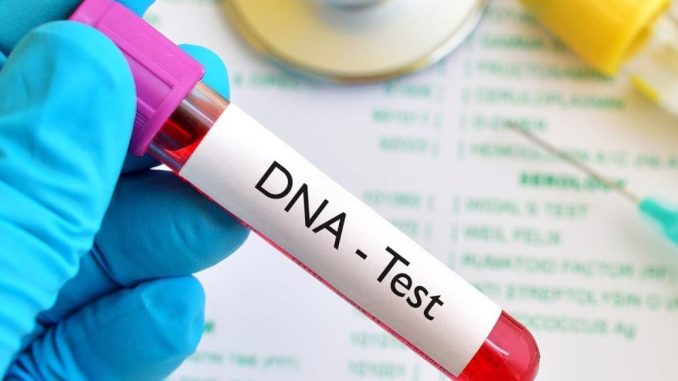 Negative Paternity Tests High: Yoruba Leads, Igbo, Hausa Follow In Test Trends - DNA Report