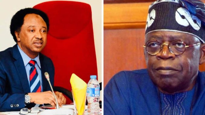 Shehu Sani Predicts What May Happen If Presidential Tribunal Sacks Tinubu