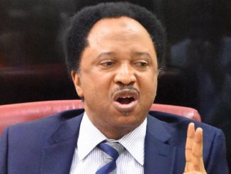 Fuel hike: Sacrifice for Nigerians – Shehu Sani challenges Tinubu, senators, gov