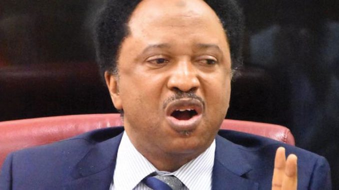 Fuel hike: Sacrifice for Nigerians – Shehu Sani challenges Tinubu, senators, gov