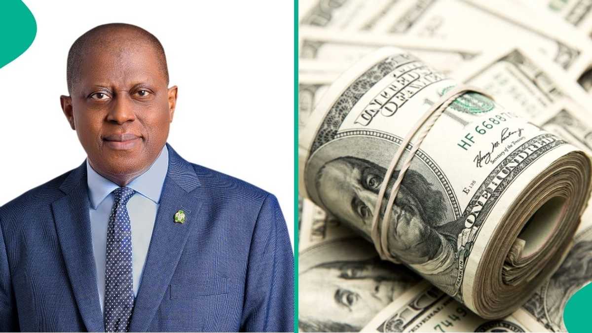 Good News For Naira as Dollar Inflows Hit $57 Billion Monthly Amid Reserve Increase