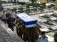 Hezbollah: 8 Israeli soldiers killed in Lebanon