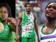 Highs, Lows In Nigeria's Sports In The Last One Year