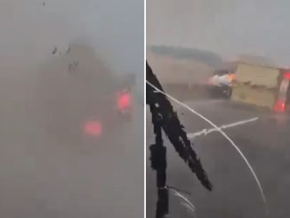 Horror moment TORNADO topples lorries in Spain during deadly floods as trucker filming vid screams ‘I’ve s**t myself’