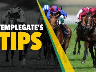 Horse racing tips: Templegate's 10-3 NAP runs best fresh and returns from long lay-off ready to roll