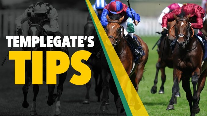 Horse racing tips: Templegate's 10-3 NAP runs best fresh and returns from long lay-off ready to roll