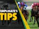 Horse racing tips: Templegate's 10-3 NAP runs best fresh and returns from long lay-off ready to roll