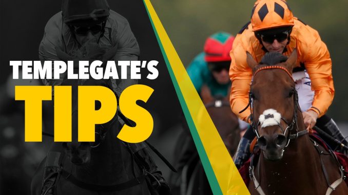 Horse racing tips: Templegate's NAP looks miles ahead of rivals in bid for a quick double