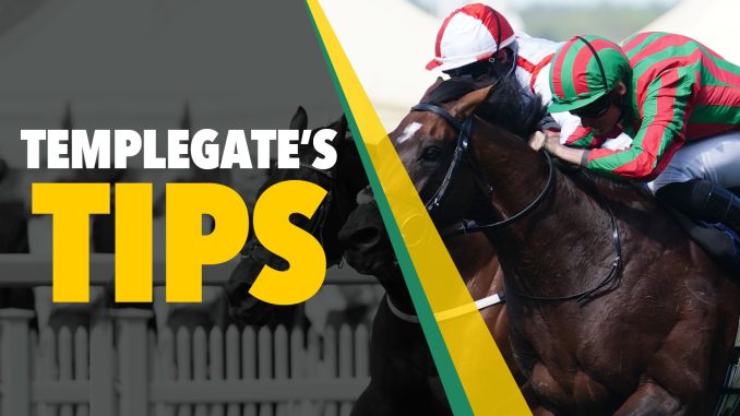 Horse racing tips: Templegate's NAP looks tough to beat off a very appealing mark after narrow defeat