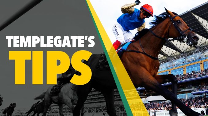 Horse racing tips: Templegate's NAP will score again over course and distance