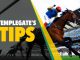 Horse racing tips: Templegate's NAP will score again over course and distance