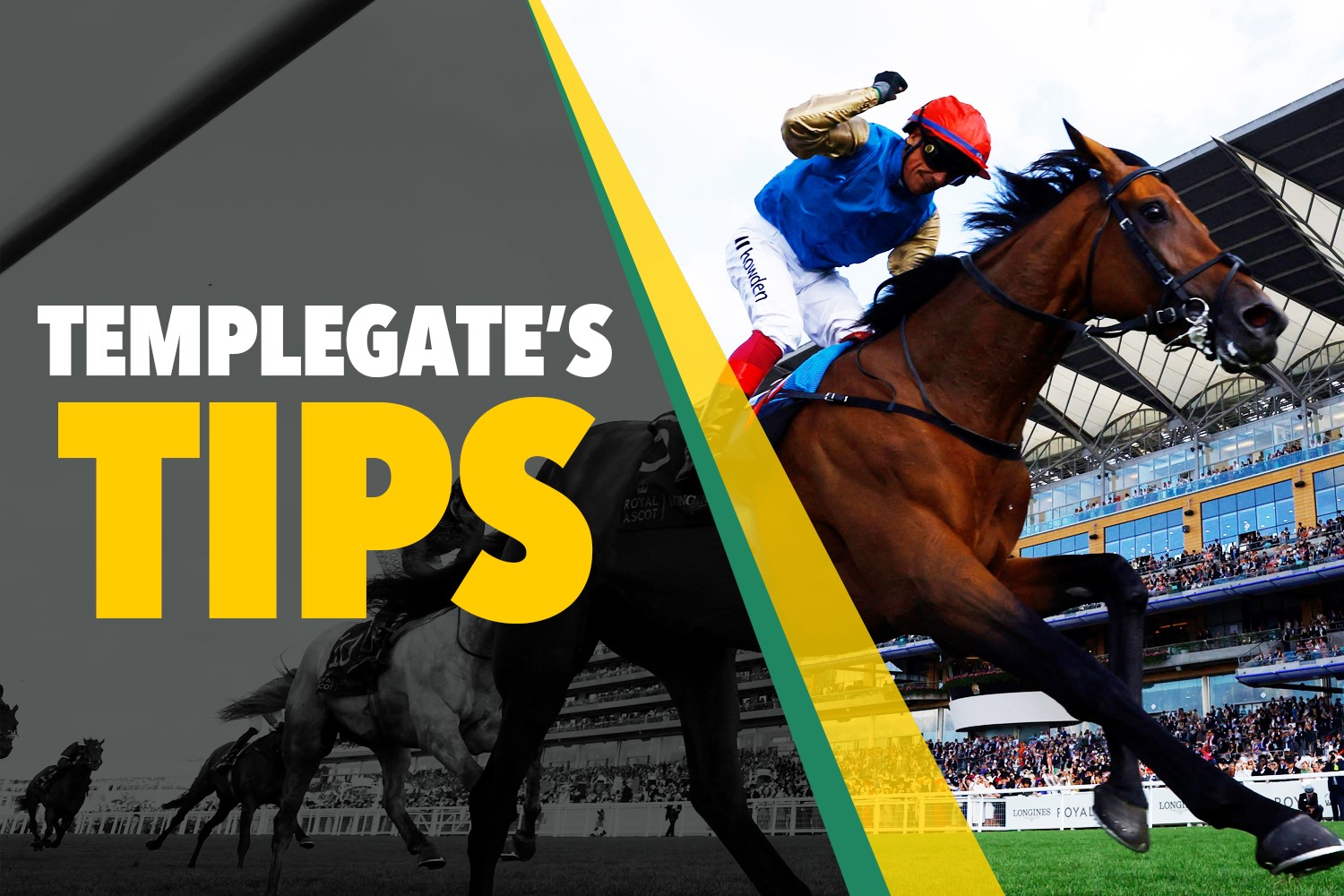 Horse racing tips: Templegate's NAP will score again over course and distance